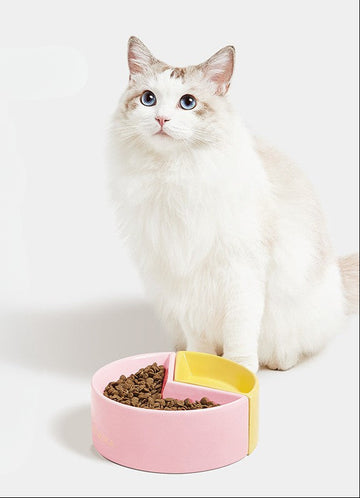 Pawfect Portions Ceramic Bowl