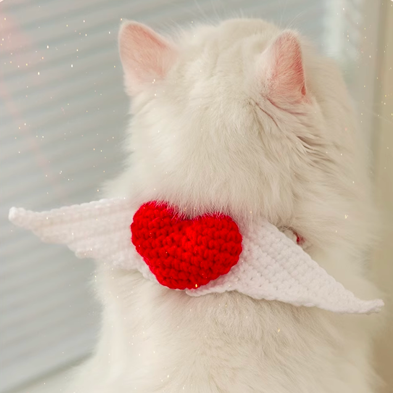 Cutie Little Angel Wing Collar Accessory