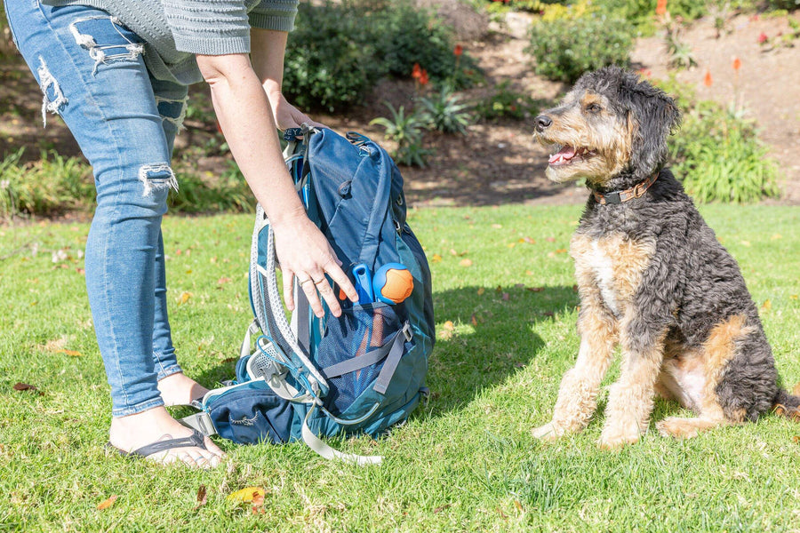 【Chuck it!】Fetch and Fold Mini Launcher