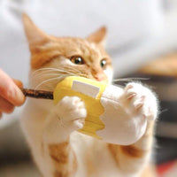 Ice Cream Silvervine Cat Toy - Pet Supplies - PawPawDear