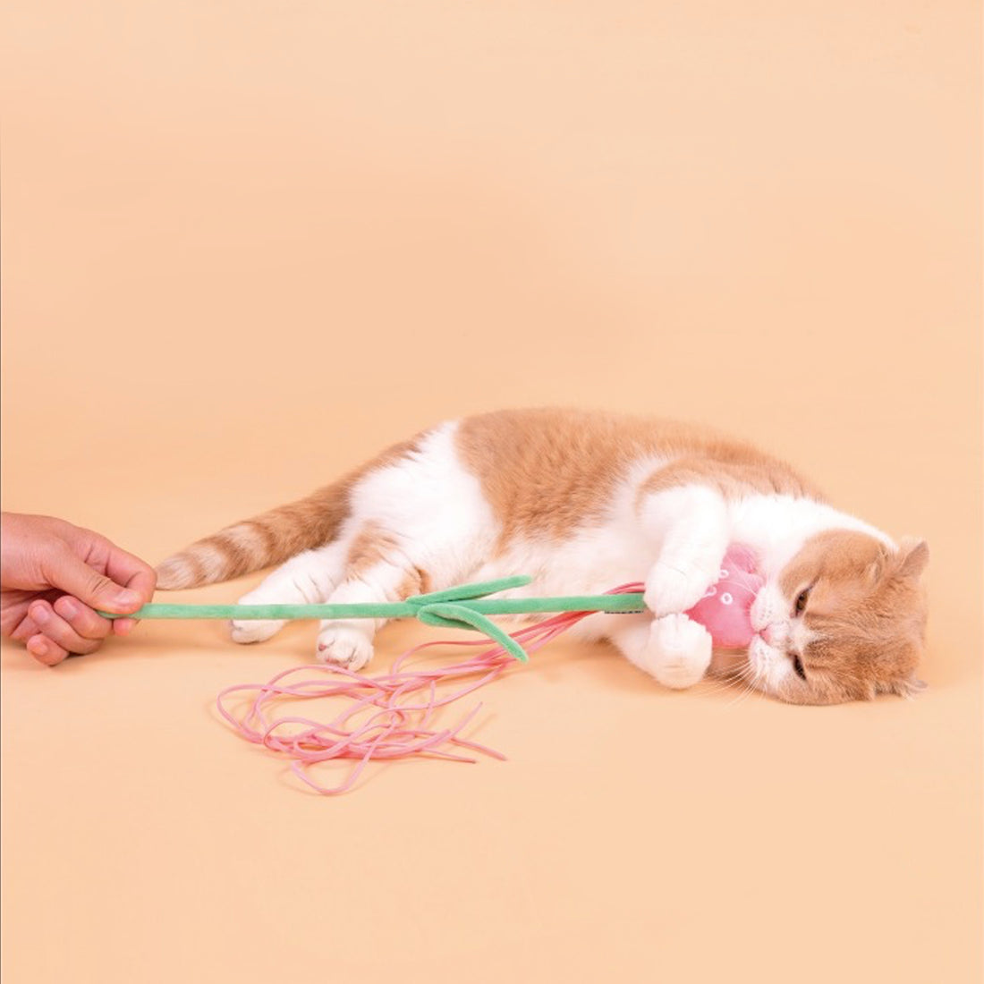 【PURLAB】Tulip Flower Catnip Cat Teaser