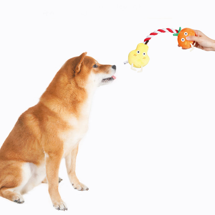 【PURLAB】Cutie Pear Funny Orange Rope Dog Toy