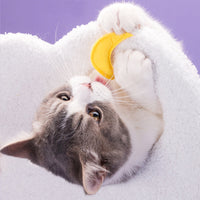 【Clearance - BBDD】Meow Moonlight Cat Tree - 110 cm