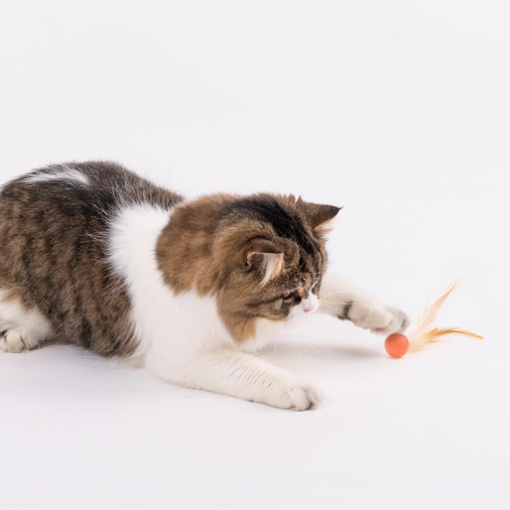 【PIDAN】Pet Toy For Cats Bouncy Ball Type 3 PCS