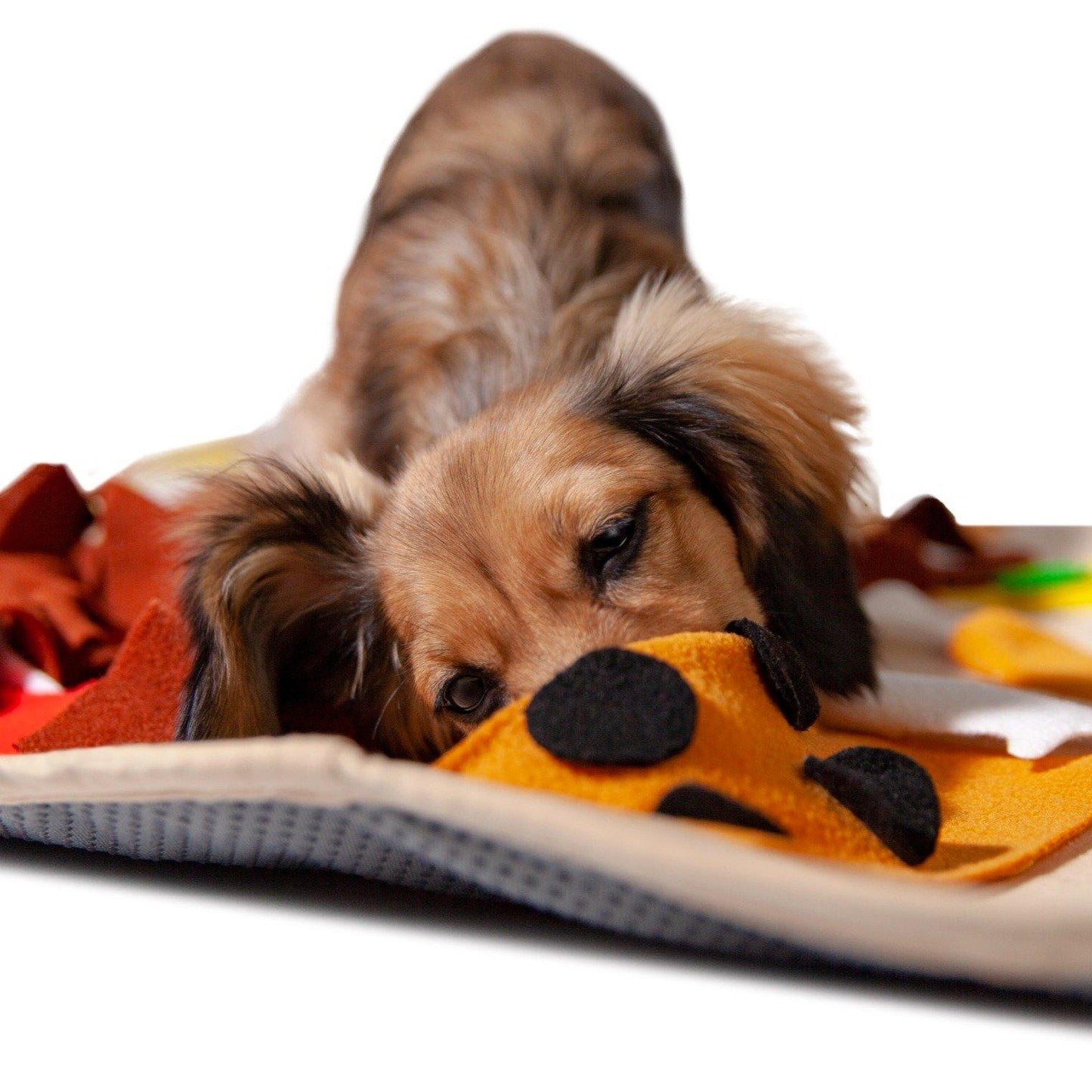 POOZPET Pet Training Relaxing Toy - Happy Meal - Pet Supplies - PawPawDear