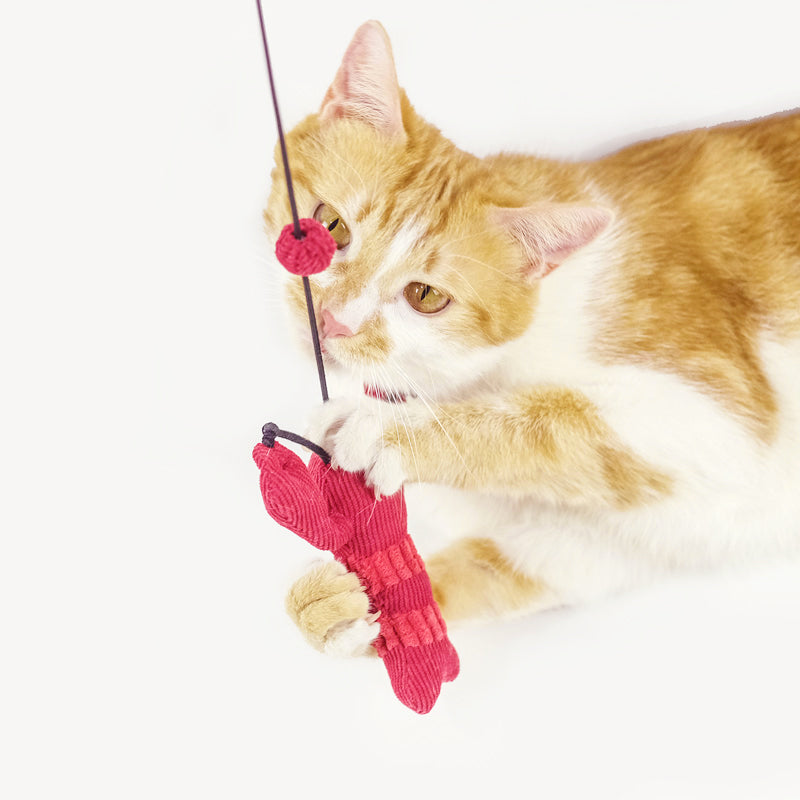 【MEOWCARD】Lobster Cat Teaser with Bell