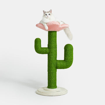 【Vetreska】Cactus With Flower Cat Tree