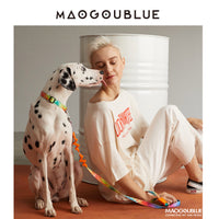 【MAOGOUBLUE】Self-unwinding Dog Leash Set - Summer Orangie