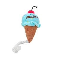 Ice Cream Squeaky Toy