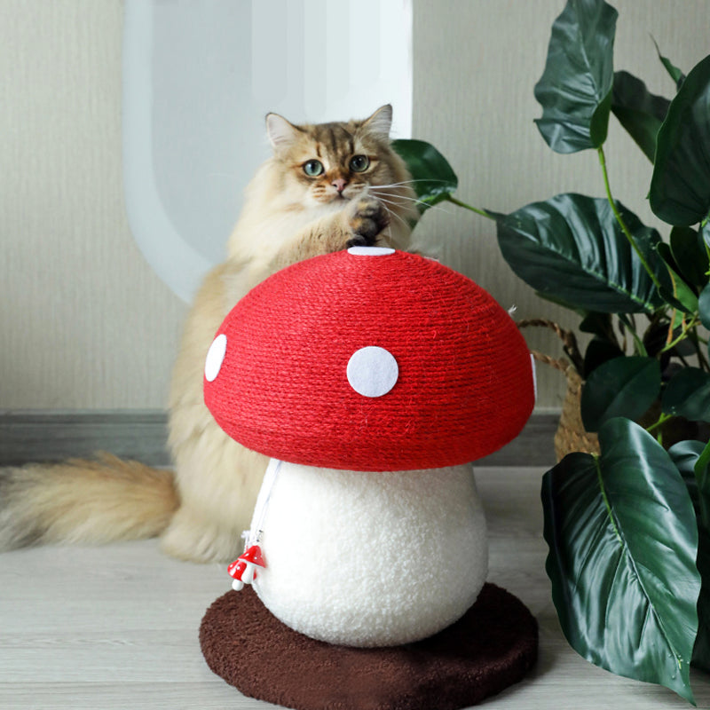 小蘑菇猫抓板