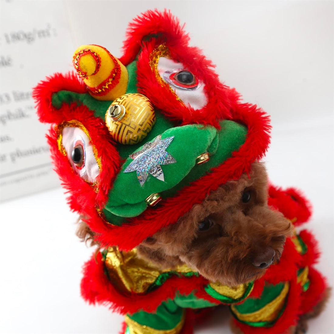 🧧Chinese New Year🧧Dragon Dance Outfit