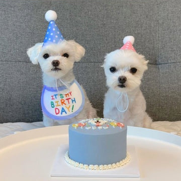 寿星专属小围兜