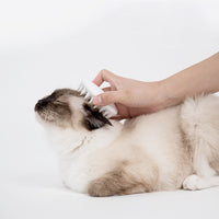 PETKIT Pet Comb and Massager-Grooming-PawPawDear
