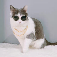 Cool Gold Necklace-Accessories-PawPawDear