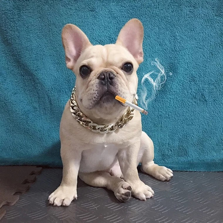Cool Gold Necklace-Accessories-PawPawDear