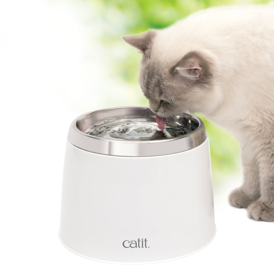 【CATIT】Stainless Steel Top Drinking Fountain - 2 L
