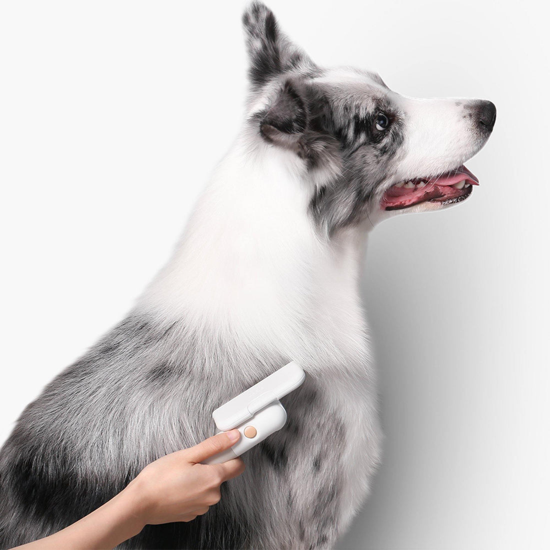 PIDAN Efficient Shedding Pet Comb - Pet Supplies - PawPawDear