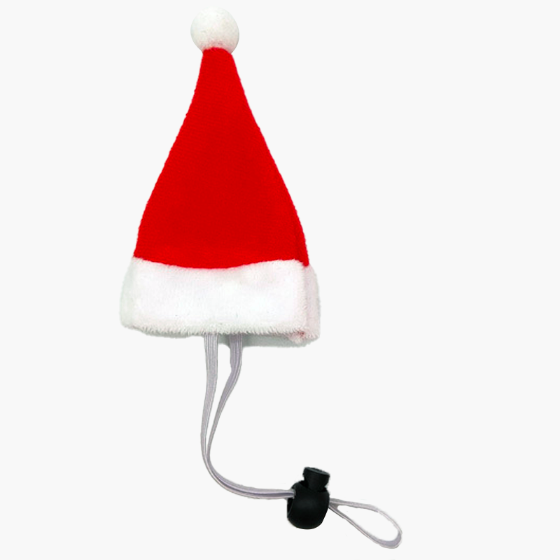 Christmas Santa Hat For Cat And Small Breed Dog