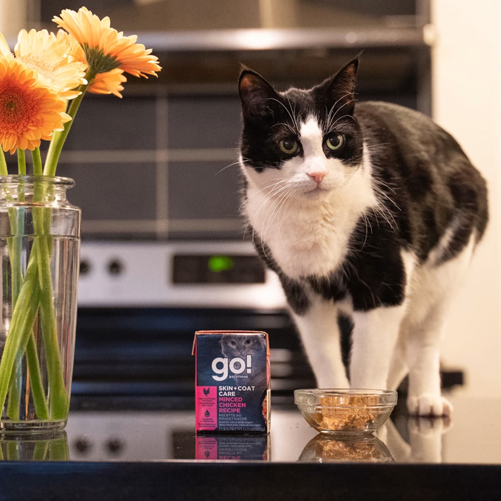 【Go! Solutions】Skin + Coat Care Pâté for Cats - Minced Chicken