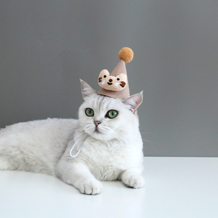 小猫小狗生日装饰帽
