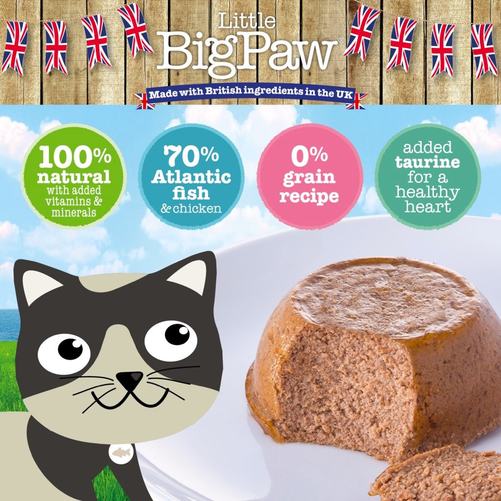 【LITTLE BIG PAW】Atlantic Salmon Mousse For Cats 85 g