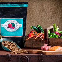 【Fromm】Four-Star Grain Free Salmon Tunalini Recipe Dry Dog Food 25 lbs