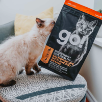 【Go! Solutions】Cat Dry Food - Digestion Gut Health Salmon Recipe w Ancient Grain 16 lb