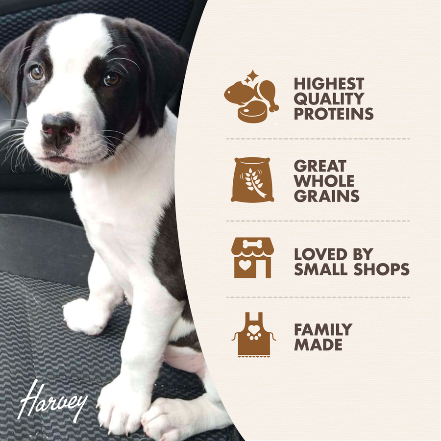 Fromm Gold Large Breed Puppy Dry Dog Food 5lbs PawPawDear