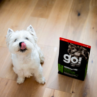 【Go! Solutions】Sensitivities LID Grain Free Turkey Dog 22lbs