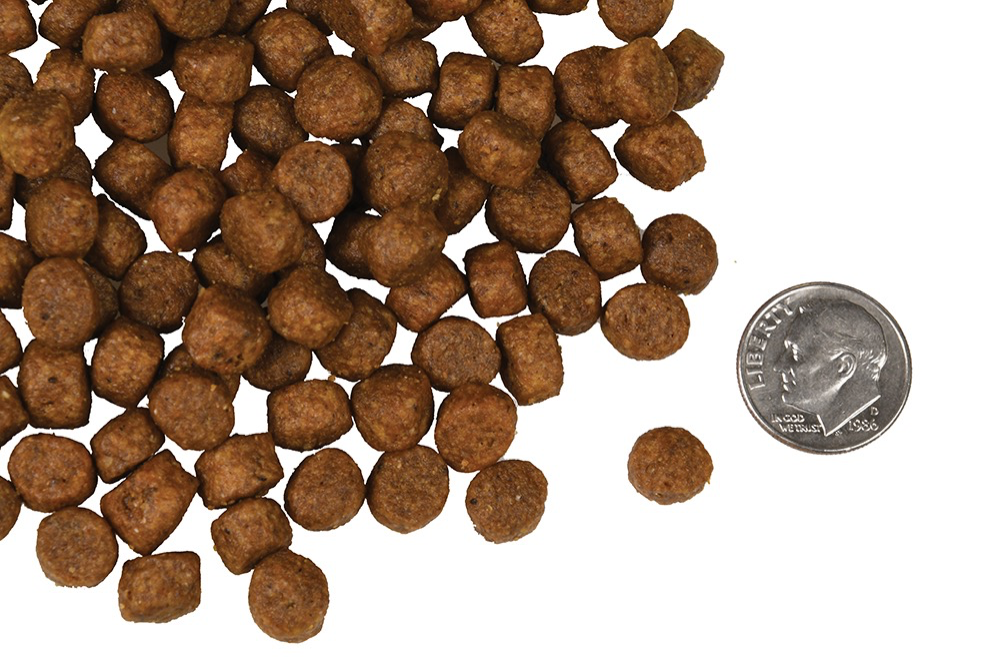 【Fromm 福摩】- 四星系列 - Salmon Tunalini 三文鱼金枪鱼狗粮 25 磅（无谷）