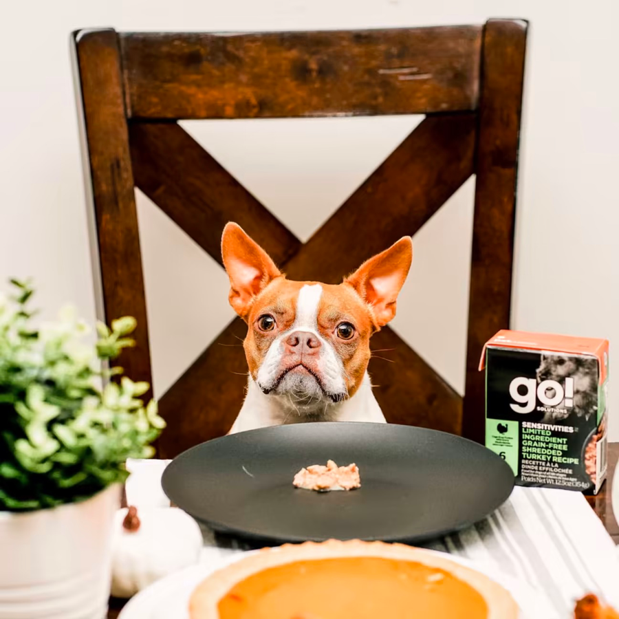 【Go! Solutions】Sensitivities Limited Ingredient Pâté for Dogs - Shredded Turkey 12.5oz x6