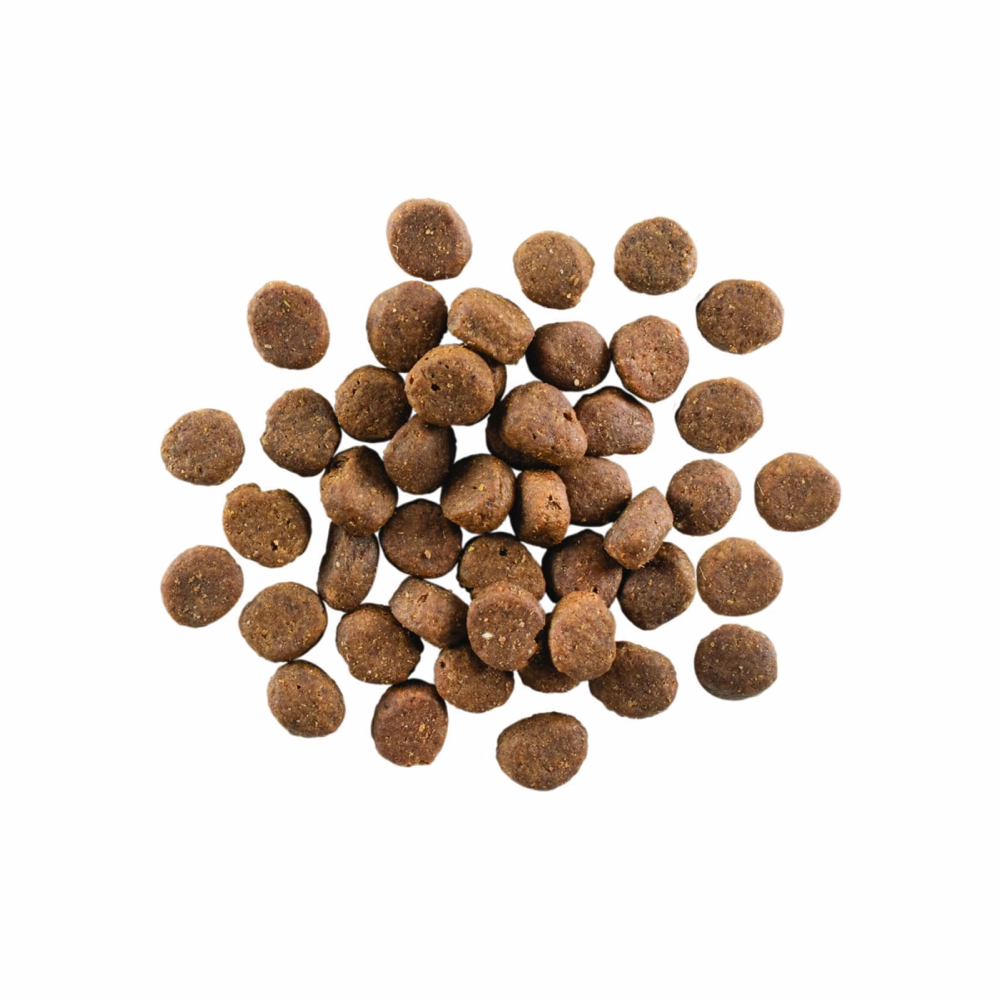 【Go! Carnivore】 Grain Free Lamb Wild Boar Dog 22lb – PawPawDear