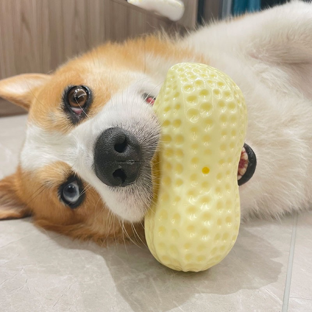 Peanut dog toy outlet
