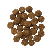 【Go! Solutions】Dog Dry Food - Digestion Gut Health Salmon Recipe Ancient Grain 22lbs