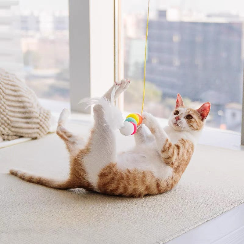 猫咪自嗨神器 - 挂门式弹力绳逗猫玩具