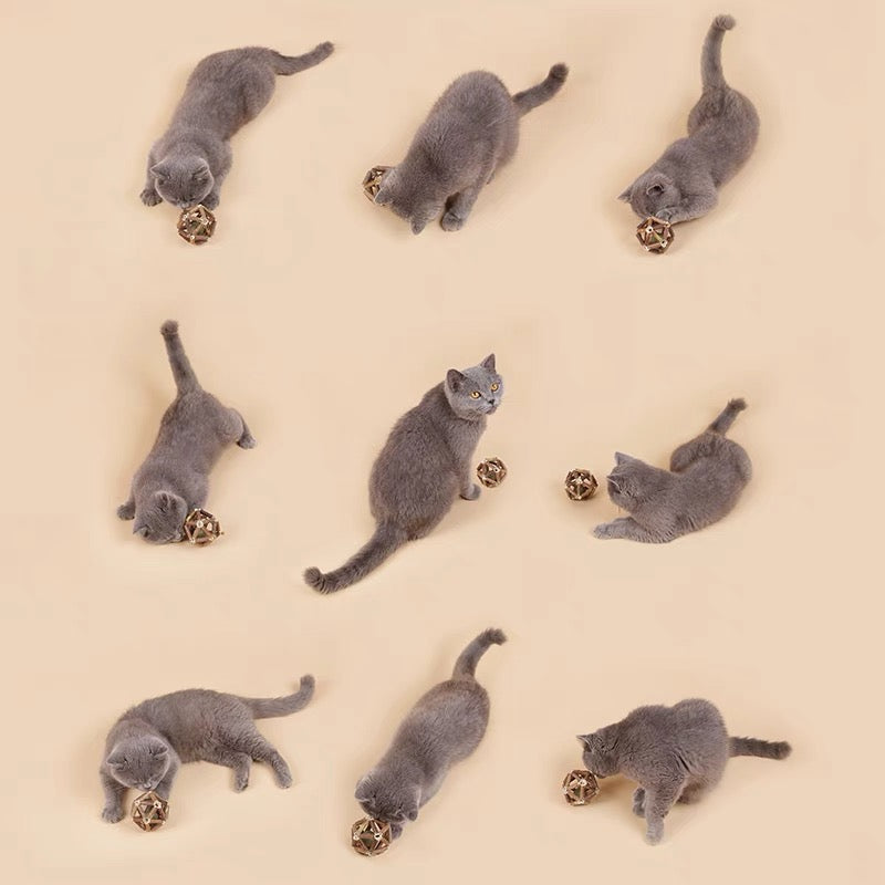 【EVERCUTE】Catnip Silvervine Cat Toy