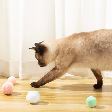 【PAWWAII】Pompon Ball Cat Toy 10pcs