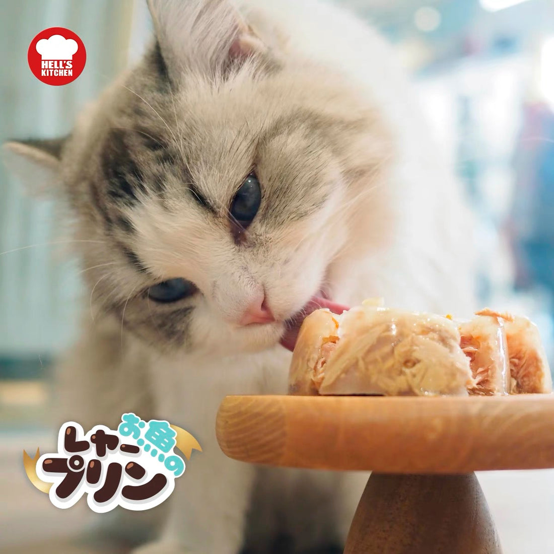 【地狱厨房】猫咪最爱布丁杯 - 海鲜系列