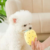 【PAWWAII】Squeaky Dog Toys