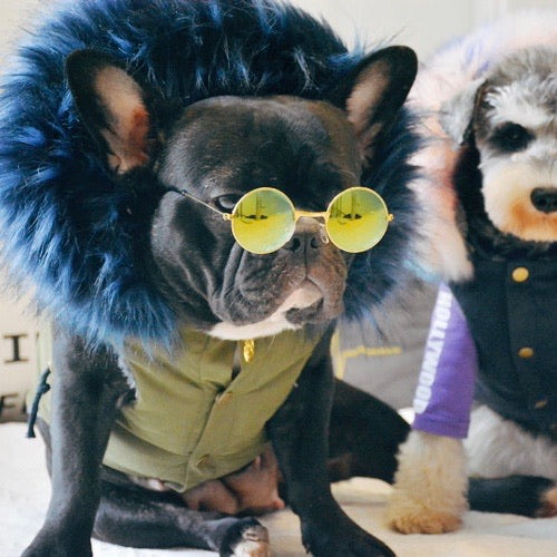 Furry Furry Winter Vest-Apparel-PawPawDear