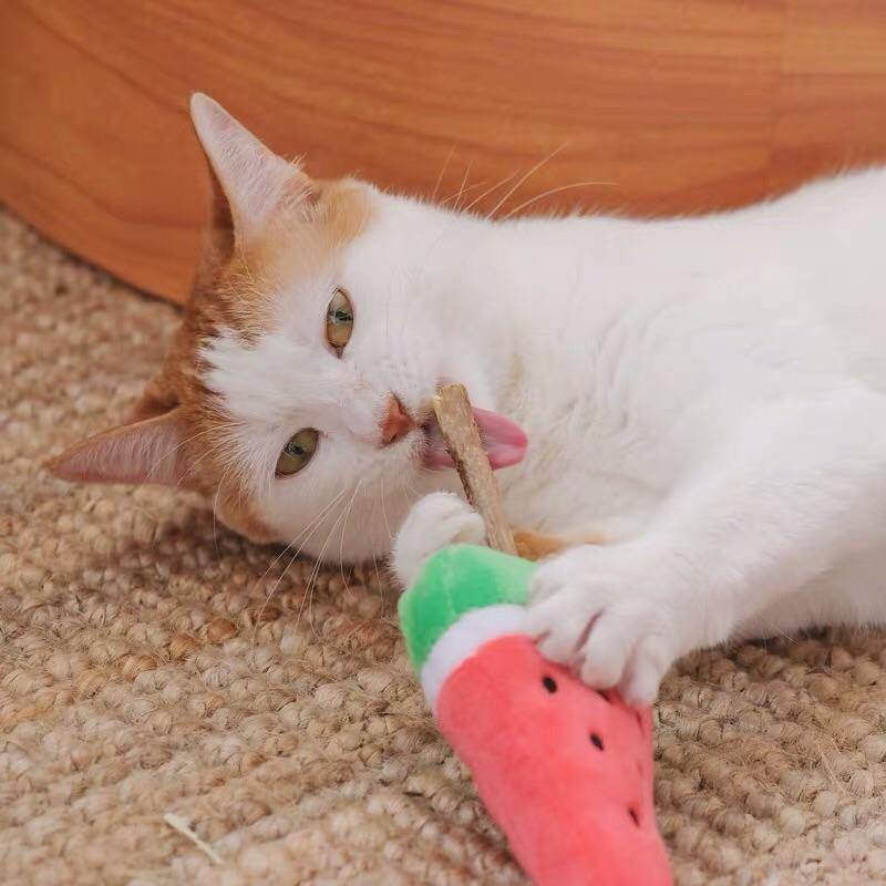 Watermelon Silvervine Catnip Cat Toy - Pet Supplies - PawPawDear