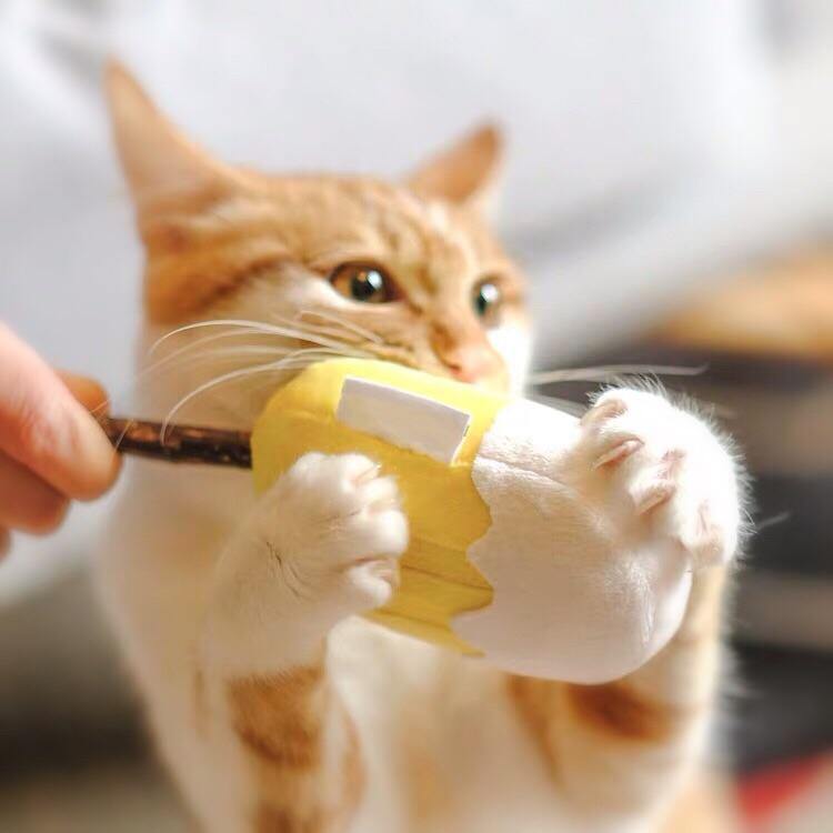 Ice Cream Silvervine Cat Toy - Pet Supplies - PawPawDear