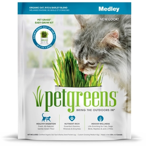 BELLROCK Pet Green Pet Grass Self Grow Kit Medley 3oz