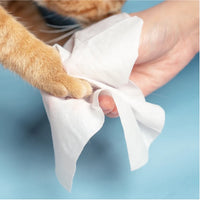 【PIDAN】宠物湿巾 - 每包 80 片 