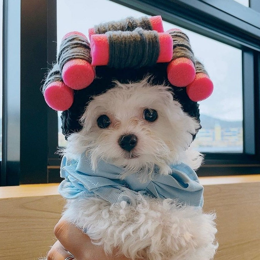 Curls Perm Pet Hat