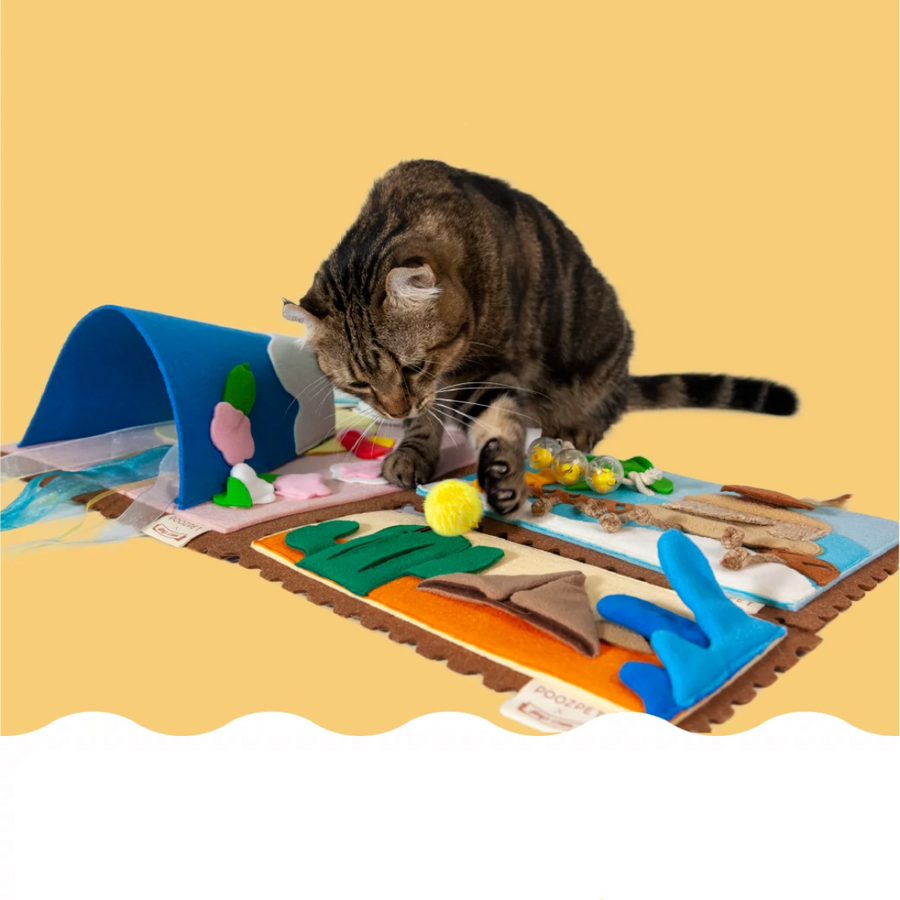 【POOZPET 扑几】斜对面的老阳合作款猫咪嗅闻垫 - 旅行日记