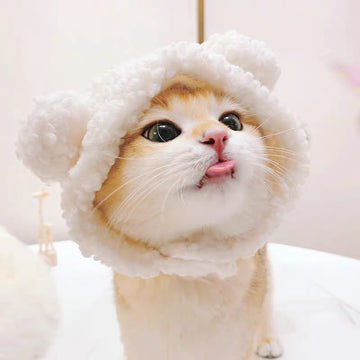 Cute Little Bear Hat - White